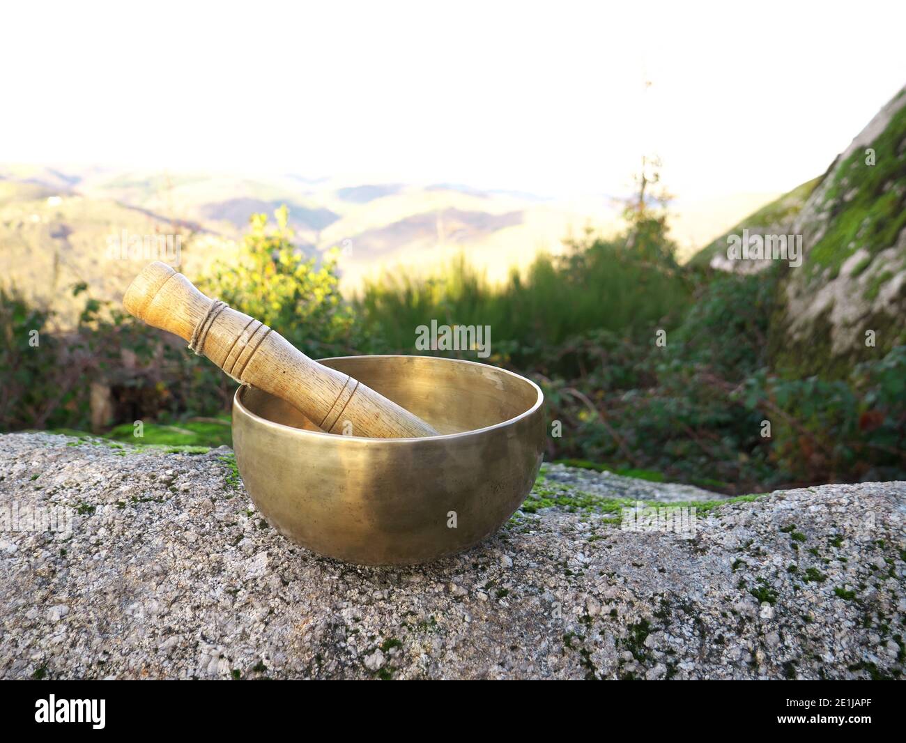 Singende Schüssel auf einem Felsen mit Bergen im Hintergrund gesetzt Stockfoto