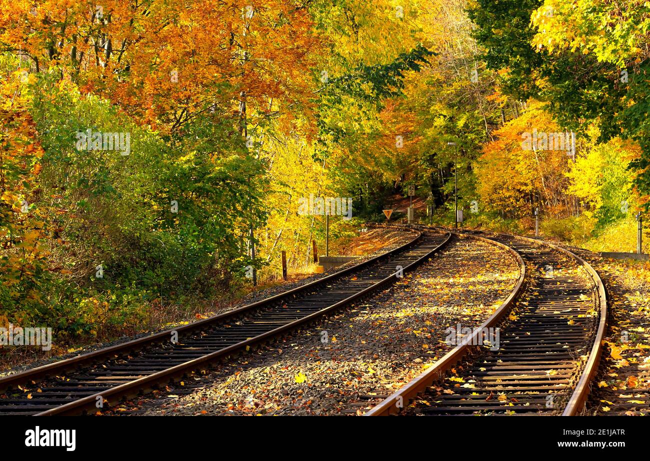 Die Bahngleise führen durch die schöne Holsteinische Schweiz / Schleswig-Holstein, Deutschland. Vor allem im Herbst lohnt es sich, den Zug zu nehmen. Stockfoto