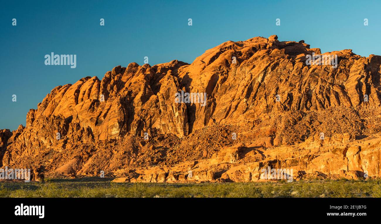 Sandsteinfelsen bei Sonnenuntergang im Valley of Fire State Park, Mojave Desert, Nevada, USA Stockfoto