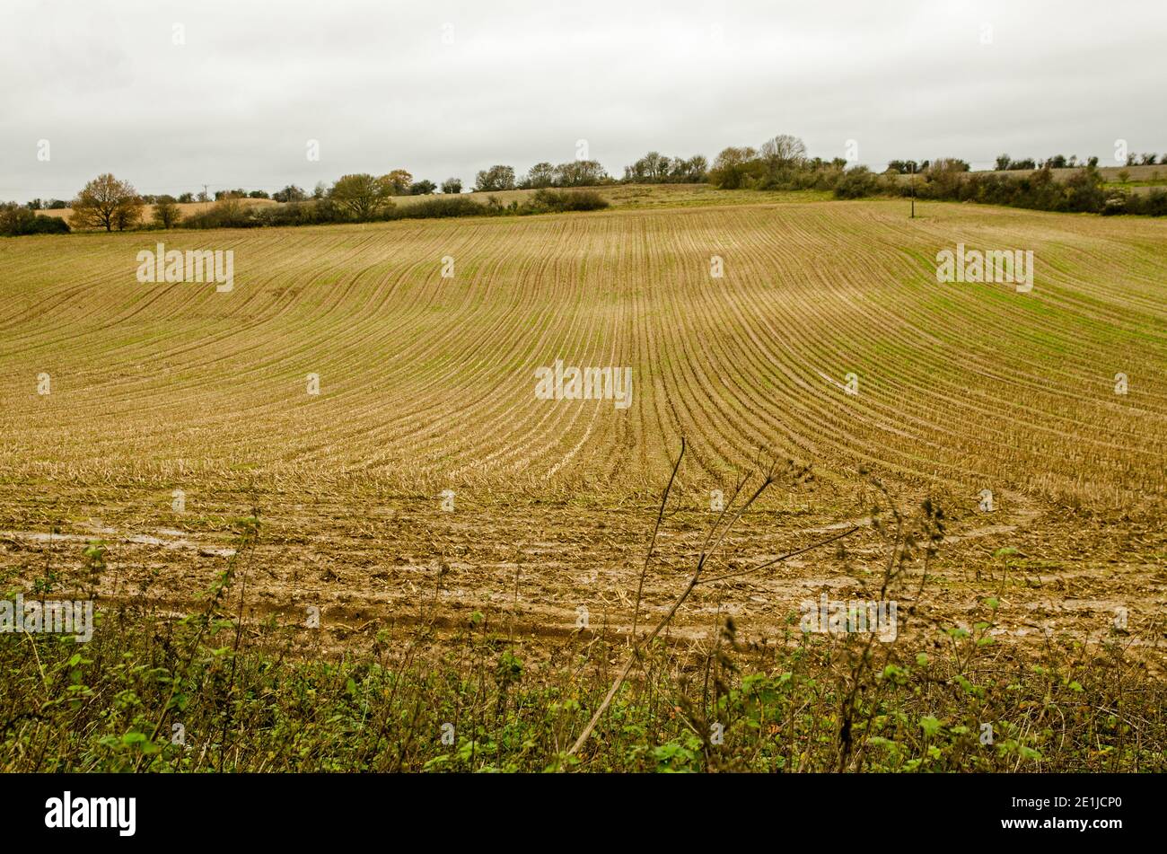 Blick entlang der Furchen eines Ackerfeldes auf einem Hügel in der Nähe von Dummer, Basingstoke, Hampshire an einem bewölkten Herbsttag. Stockfoto