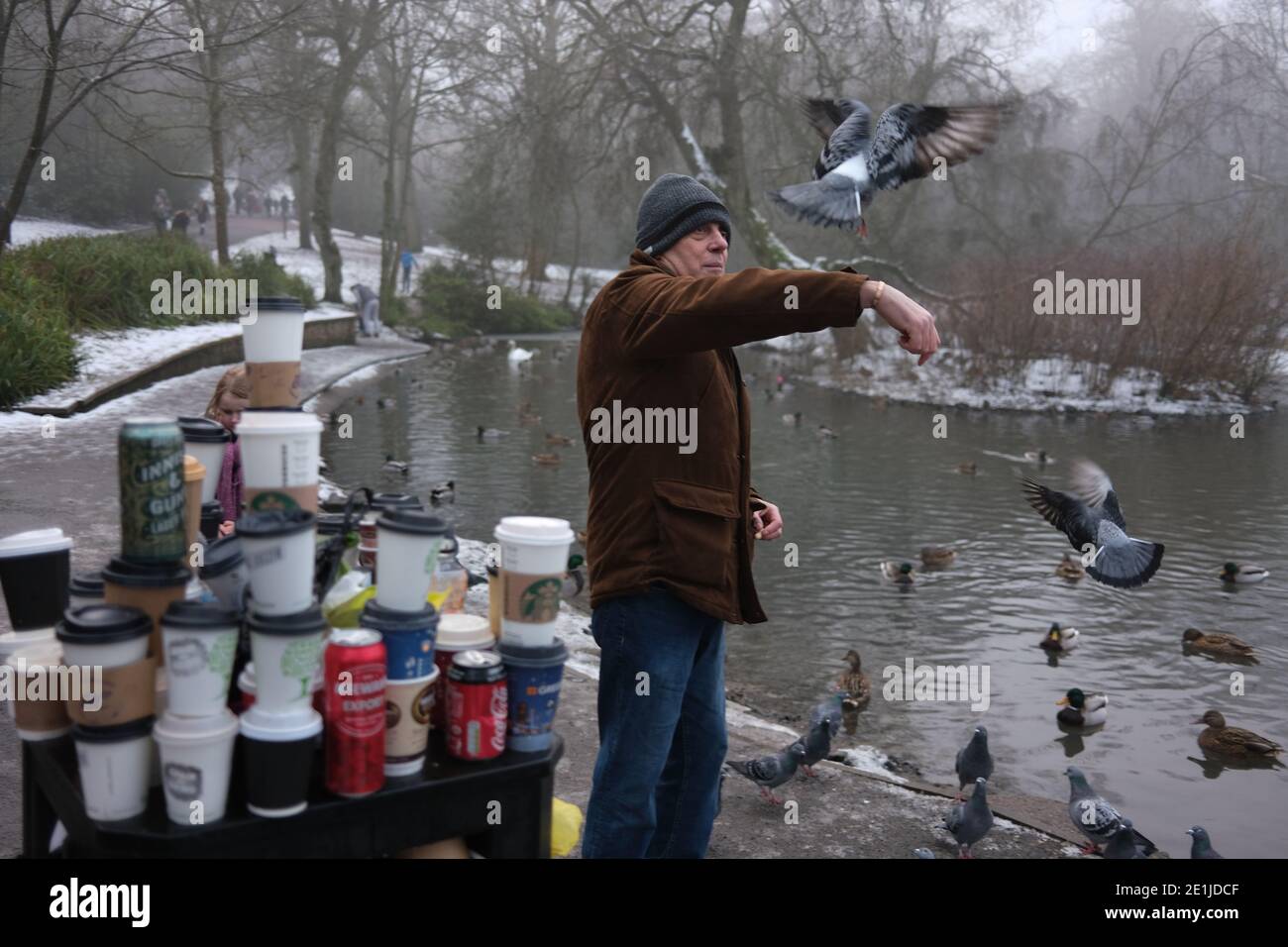 Glasgow, Großbritannien, 7. Januar 2021. Mann, der Tauben füttert, neben Abfalleimer, die mit gebrauchten Einweg-Kaffeetassen überfüllt sind, und Abfall nach einem arbeitsreichen Wochenende im Park, das bei schönem Winterwetter zusammenfällt, im Queen's Park im Süden der Stadt. Foto: Jeremy Sutton-Hibbert/Alamy Live News Stockfoto