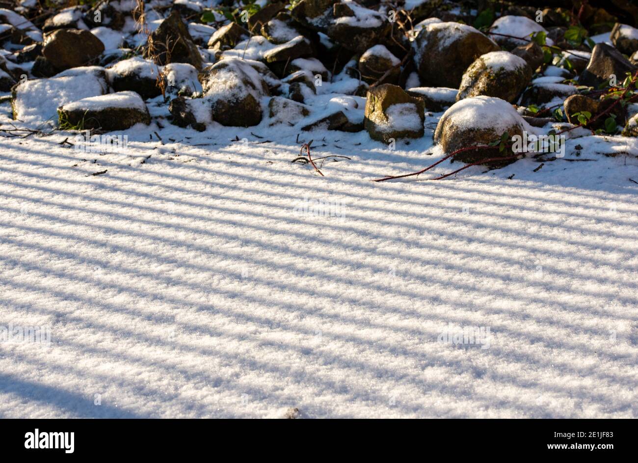 Muster im Schnee, Chipping, Preston, Lancashire. Stockfoto