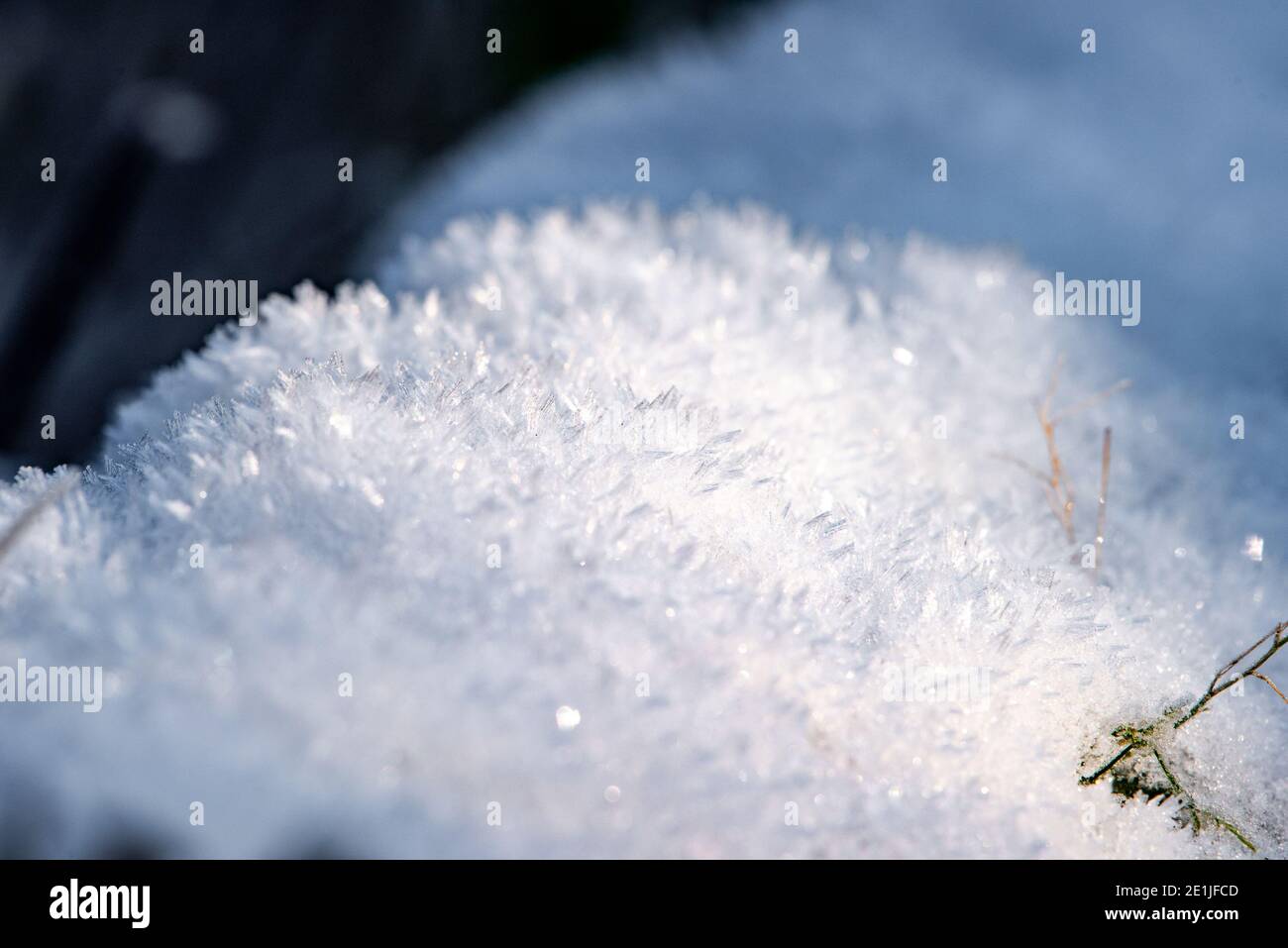 Eiskristalle an einer frostigen Wand, Chipping, Preston, Lancashire. Stockfoto