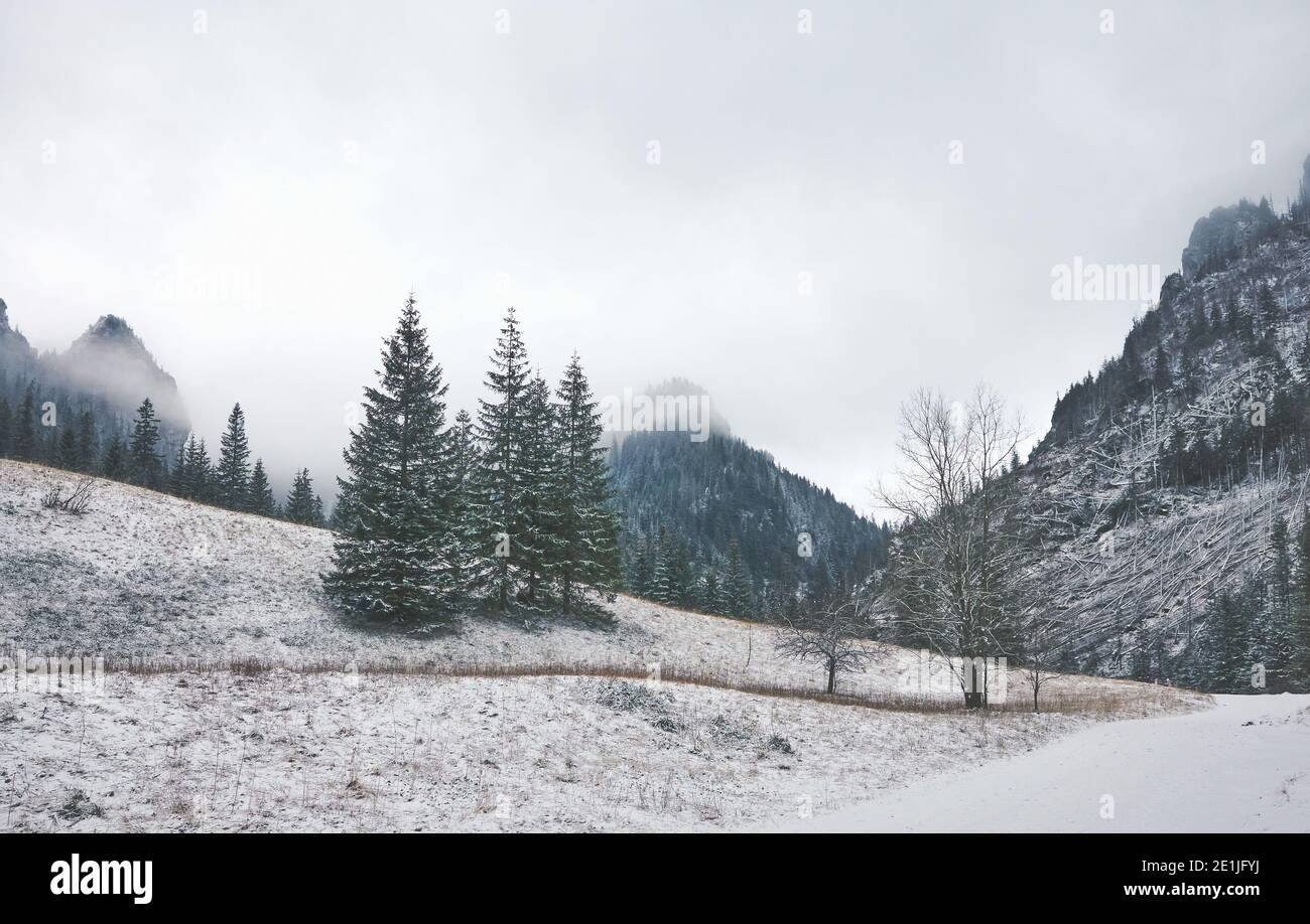 Winter Berglandschaft, Farbtonung angewendet, Polen. Stockfoto