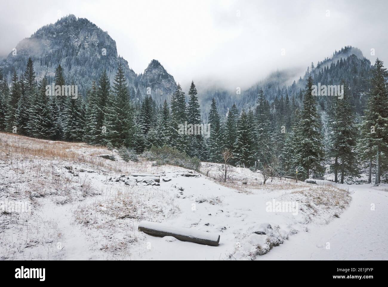 Winter-Berglandschaft des Koscieliska-Tals, Farbtonierung angewendet, Tatra-Nationalpark, Polen. Stockfoto