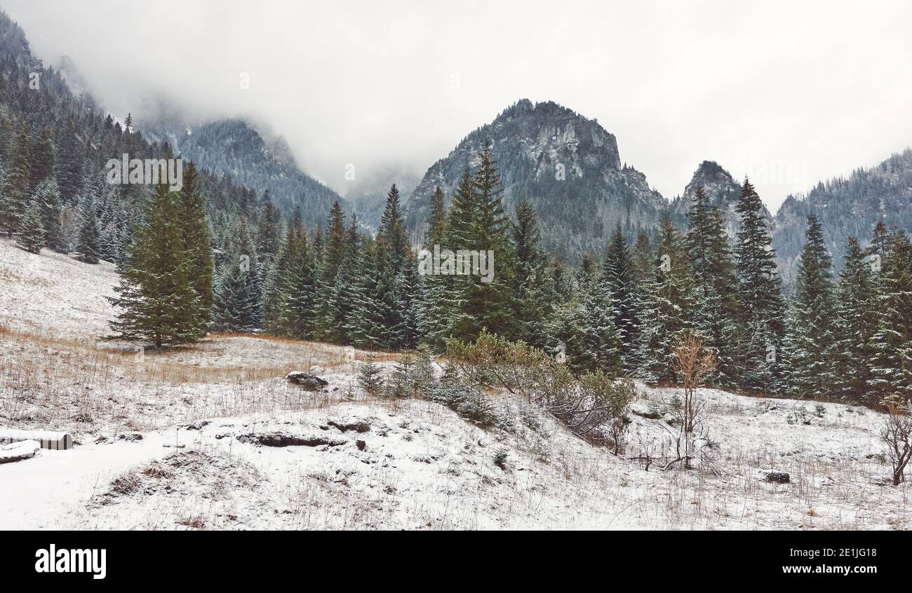 Winter Berglandschaft an einem verschneiten Tag. Stockfoto