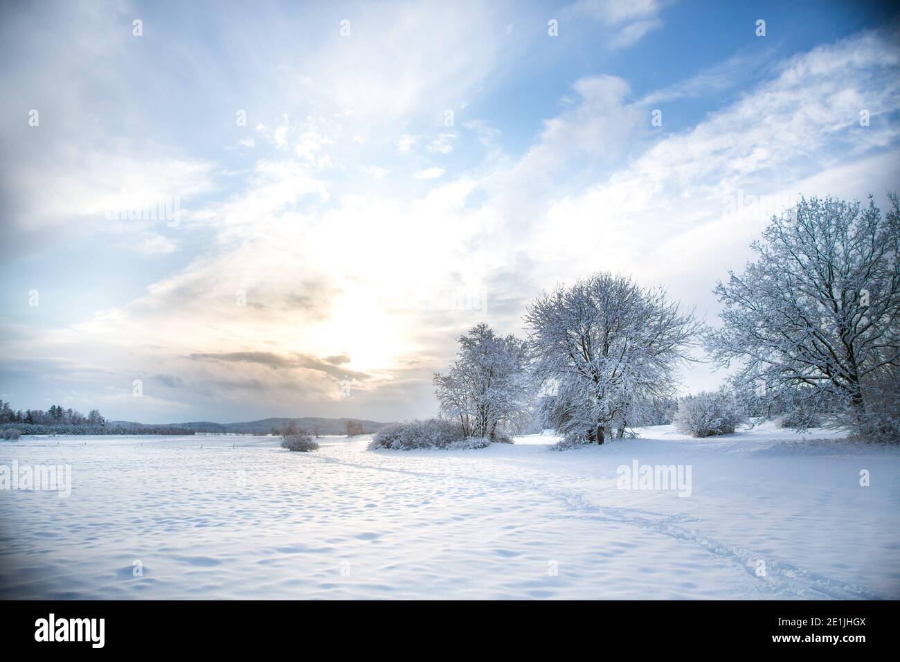 Winterwunderland im Waldviertel, Österreich Stockfoto