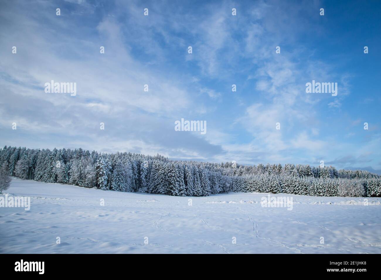 Winterwunderland im Waldviertel, Österreich Stockfoto