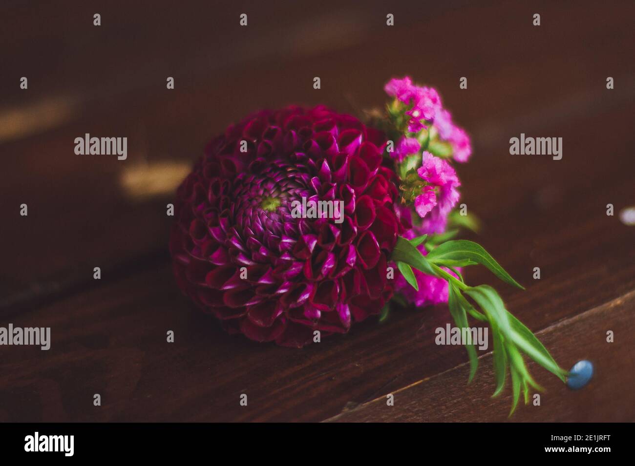 Magenta Hochzeit boutonniere für den Bräutigam Stockfoto