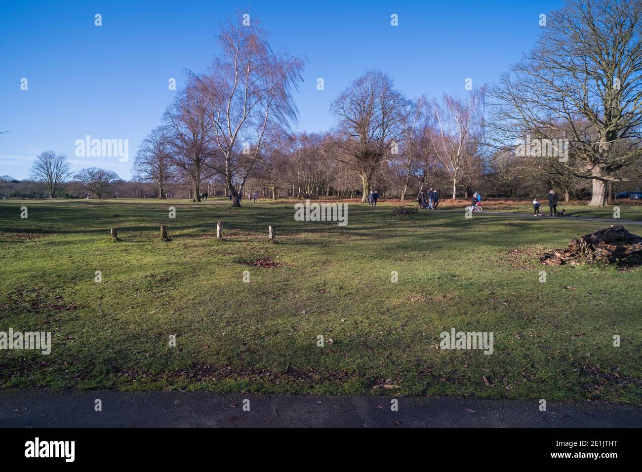 Sutton Park in Sutton Coldfield in der Nähe von Birmingham ist 2000 Hektar Von Parklandschaft mit Rad- und Reitwegen und Seen für Freizeit Stockfoto