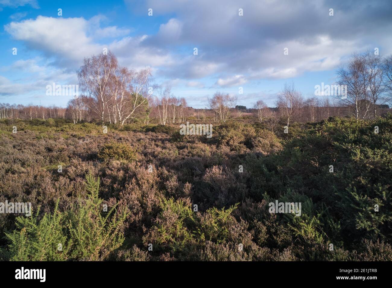 Sutton Park in Sutton Coldfield in der Nähe von Birmingham ist 2000 Hektar Von Parklandschaft mit Rad- und Reitwegen und Seen für Freizeit Stockfoto