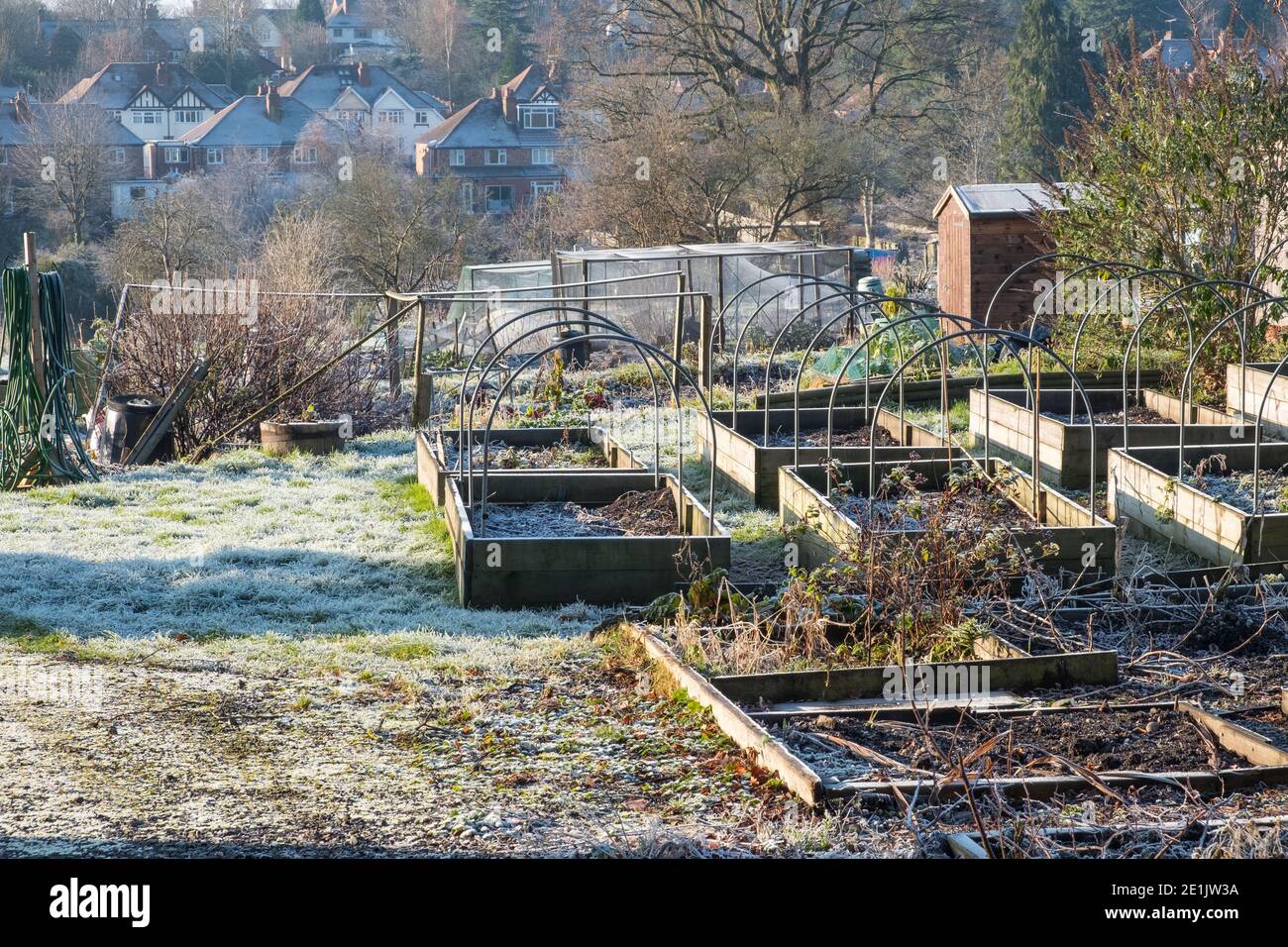 Frostige Zuteilungen in Harborne, Birmingham, Großbritannien Stockfoto