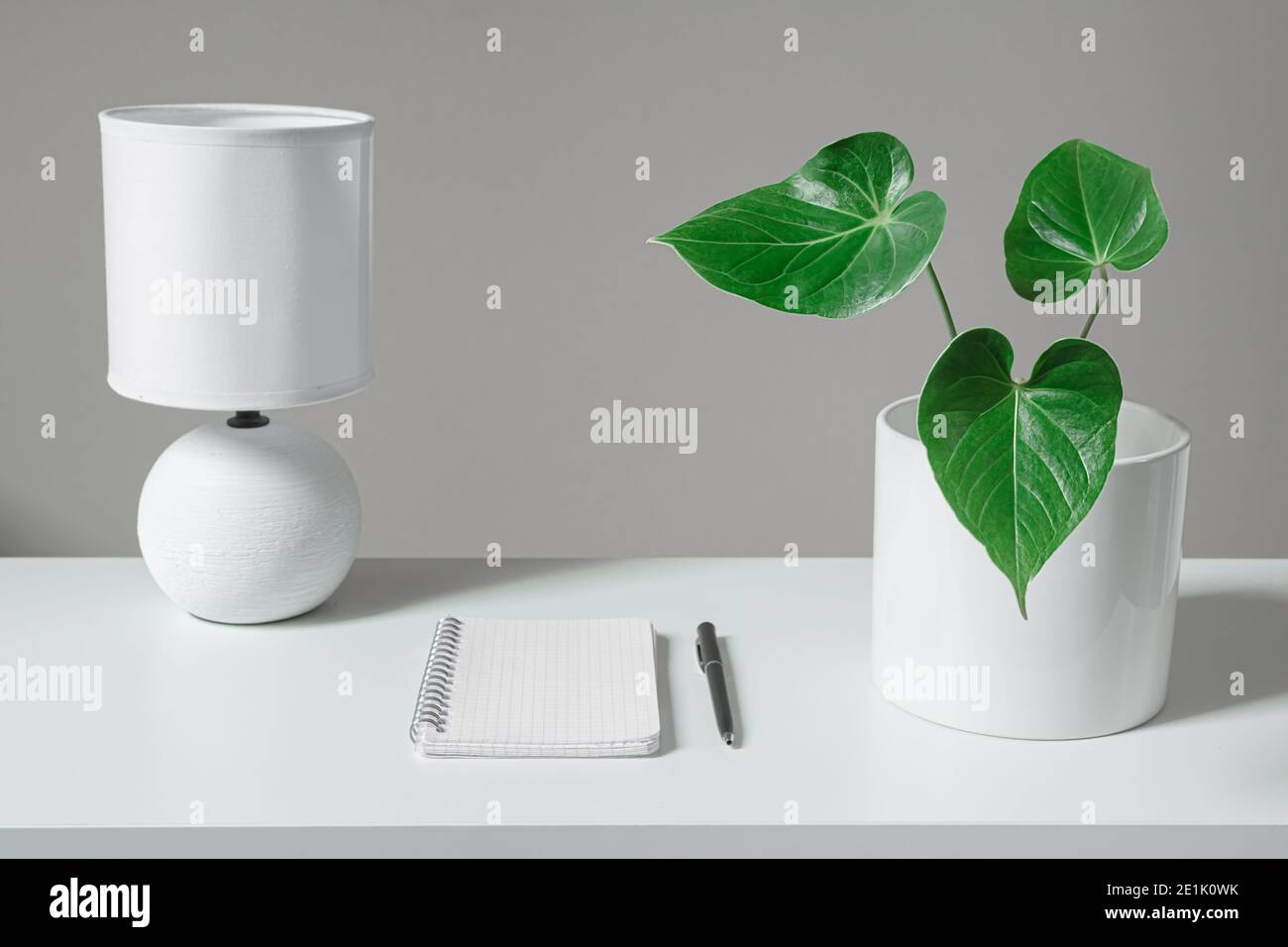 Weiße Tischlampe, ein geöffnetes Notizbuch und ein schwarzer Stift in der Nähe des weißen Topfes mit Anthurium-Heimpflanze, die auf dem weißen Tisch steht, das Konzept der Arbeit für Stockfoto