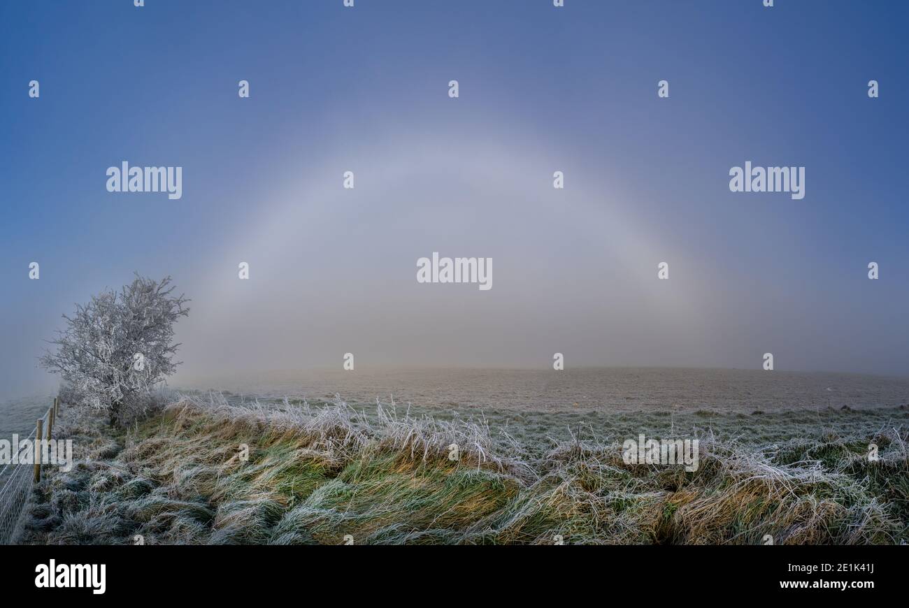 Alton Barnes, Wiltshire. Januar 2021. Ein seltener Nebelbogen erscheint über der Chalklandlandschaft bei Alton Barnes, Heimat mehrerer wichtiger prähistorischer Stätten von Interesse. Auch bekannt als White Rainbow das Phänomen tritt nur bei perfekt nebligen Bedingungen auf, bei denen die Sonne durch winzige Nebelpartikel strahlt und einen schimmernden weißen Bogen erzeugt, der einem Regenbogen ähnelt, aber vollständig weiß aussieht. Kredit: Casper Farrell/Alamy Live Nachrichten Stockfoto