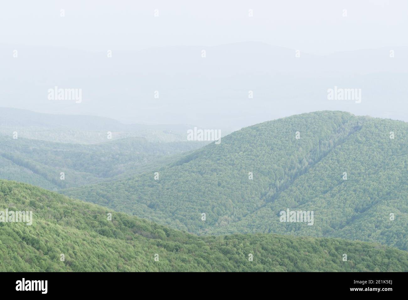 Einfache minimalistische Frühlingslandschaft in hellgrünen Pastellfarben und dunst in den Bergen Stockfoto