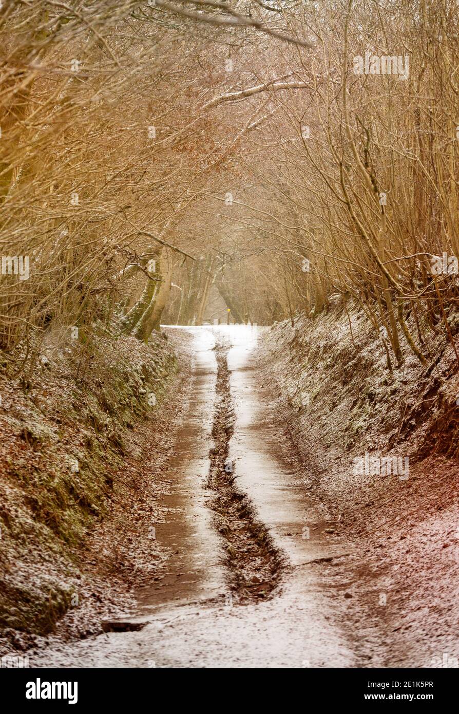 Eine Landstraße im Winter Stockfoto