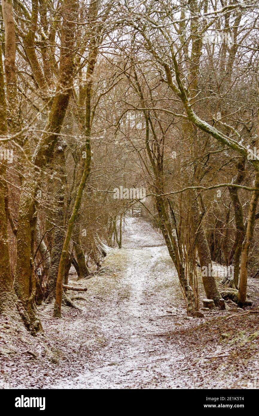 Eine Landstraße im Winter Stockfoto