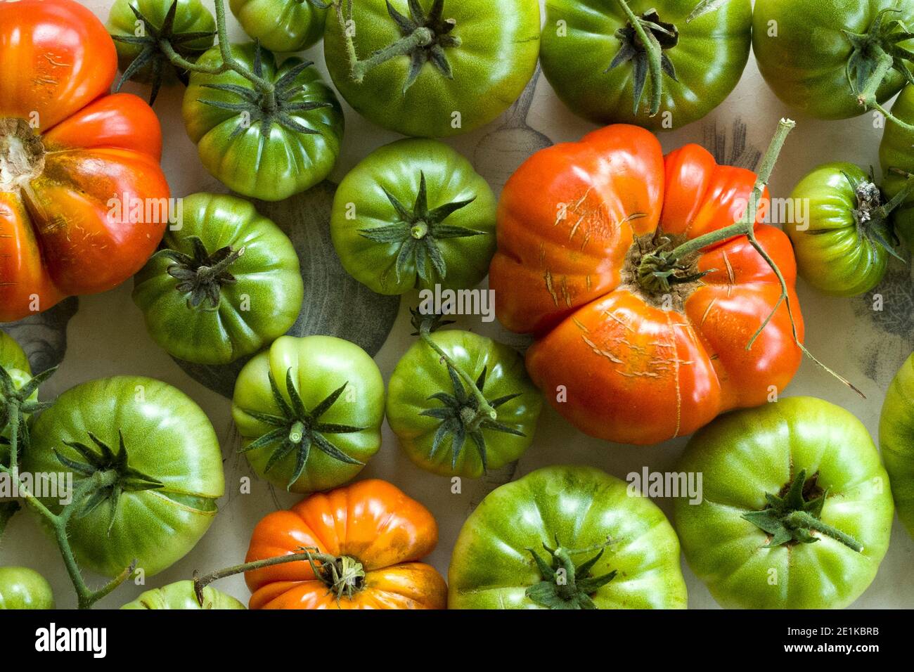 Auffällige rote und grüne Farben von selbst angebauten britischen Tomaten Frisch aus einer Weinrebe gezupft und auf ein porzellan gelegt Platte auf einem rustikalen Tisch in England Stockfoto
