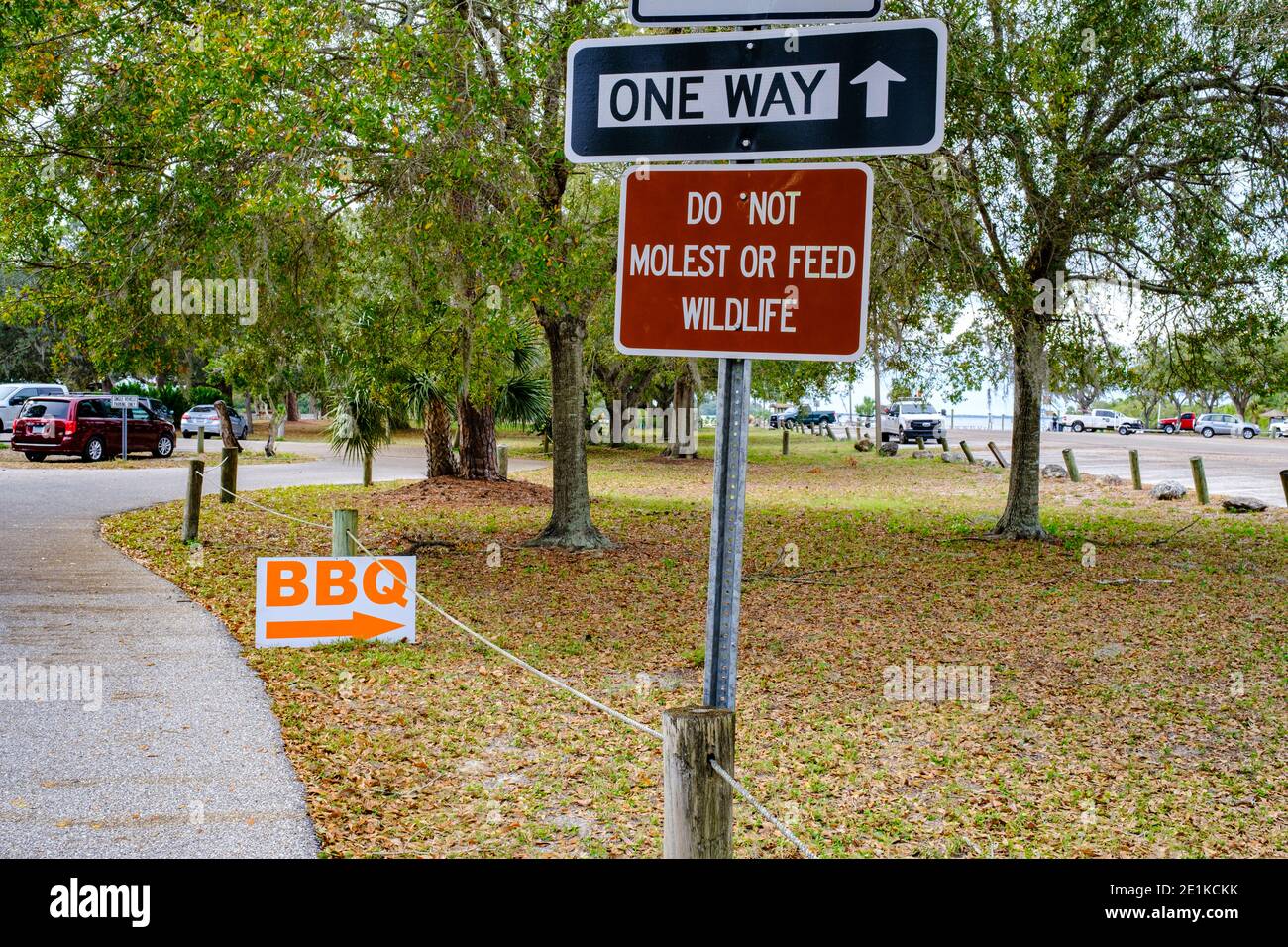 Nicht belästigen oder füttern Wildtiere - Anclote River Park, Holiday, Florida Stockfoto