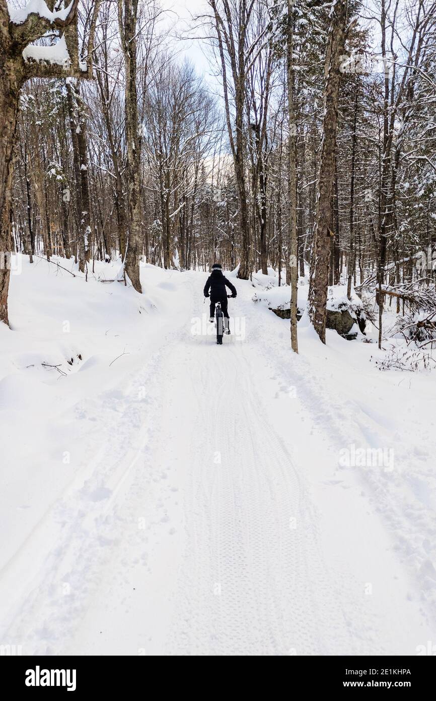 Frau beim FAT-Bike auf einem Waldweg im Winter Stockfoto