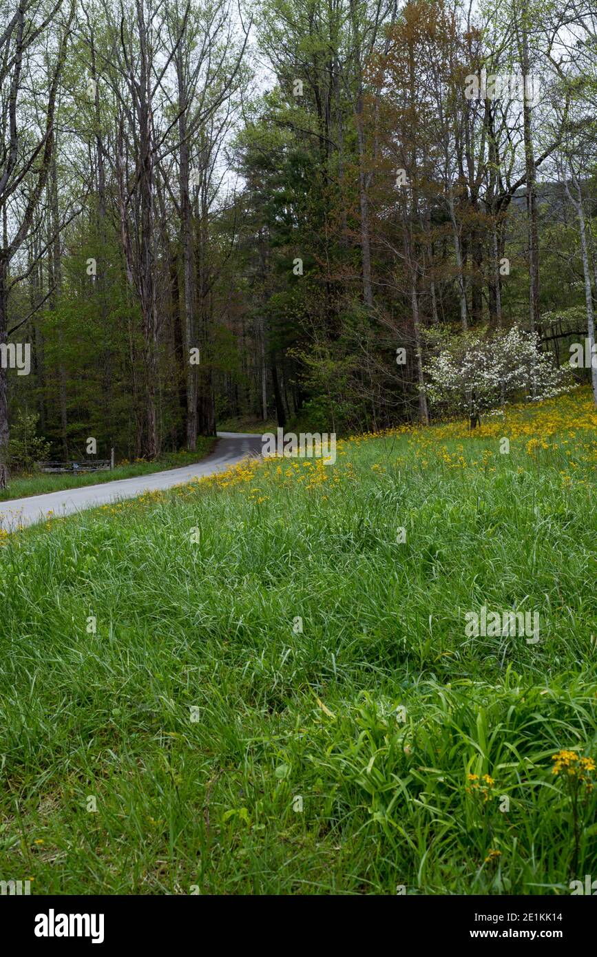 Frühling auf dem Land mit einer Schotterstraße, die durchfährt. Wiese im Vordergrund. Stockfoto