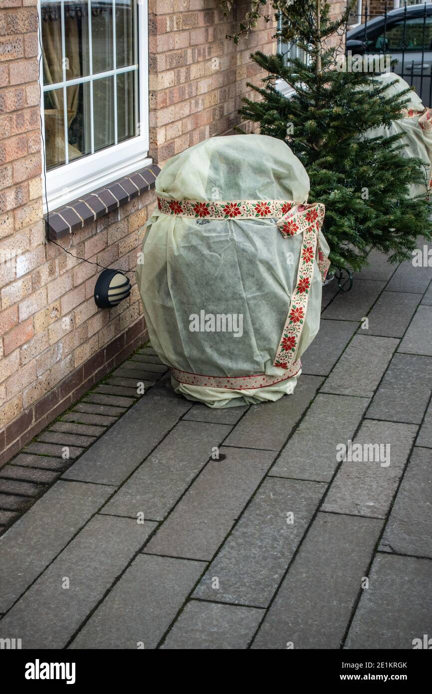 Gartenanlage im Freien, um vor Frost zu schützen Stockfoto