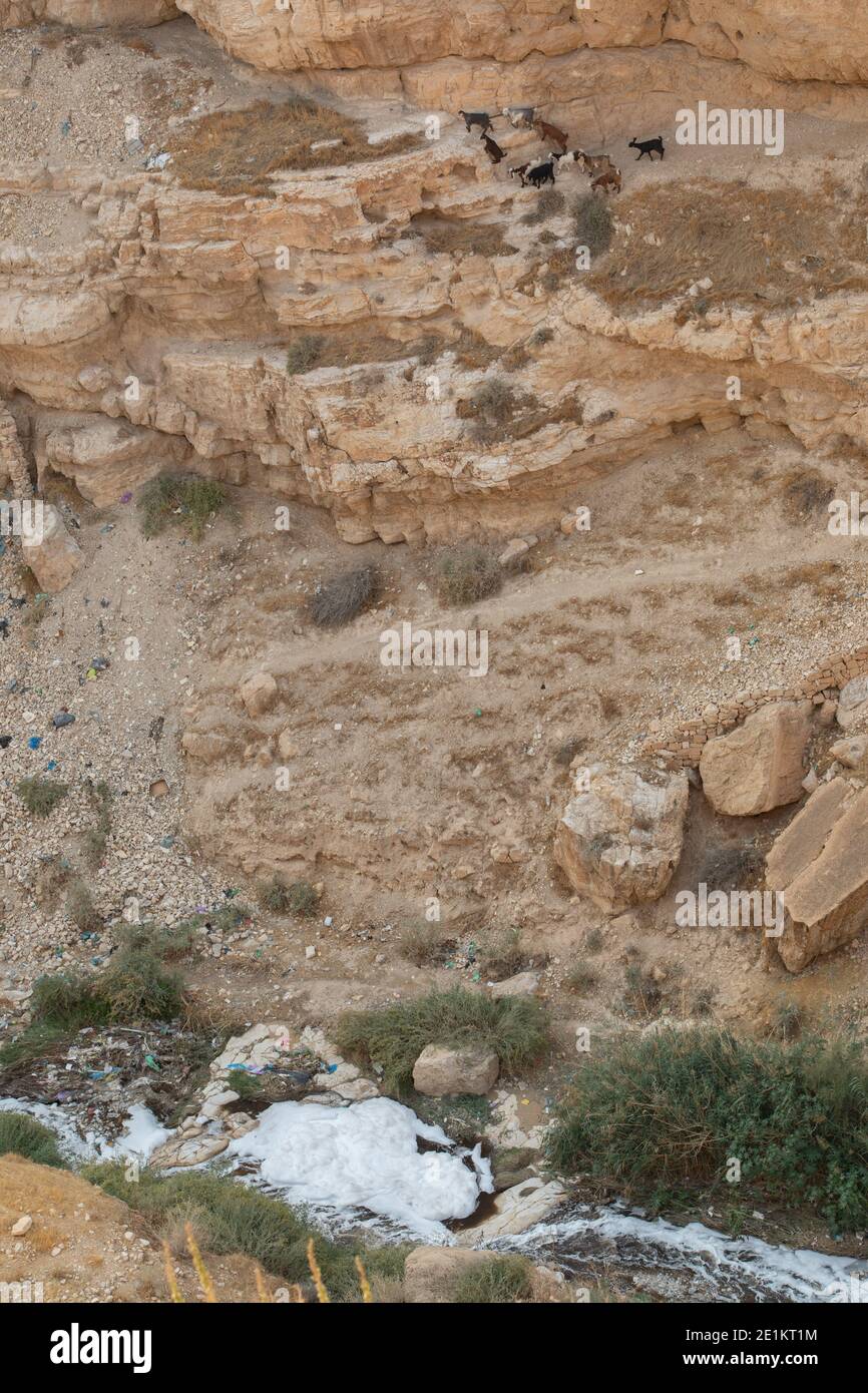 Die Heilige Lavra von Saint Sabbas, in Syrisch als Mar Saba bekannt ist ein griechisch-orthodoxes Kloster mit Blick auf das Kidron-Tal an einem Punkt auf halbem Weg zwischen dem Stockfoto