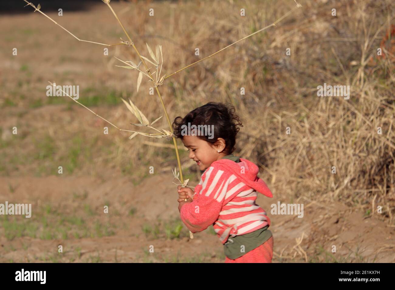 Ein schönes indisches kleines Kind, das auf dem Feld spielt und Holz in der Hand hält, indien Stockfoto