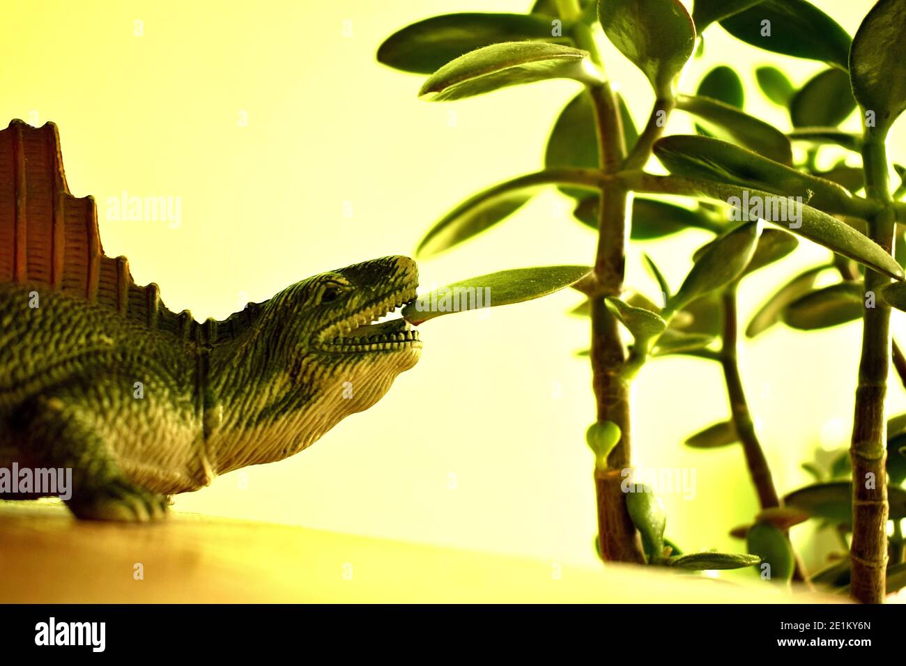 SPIELEN MIT DINOSAURIER SPIELZEUG Stockfoto