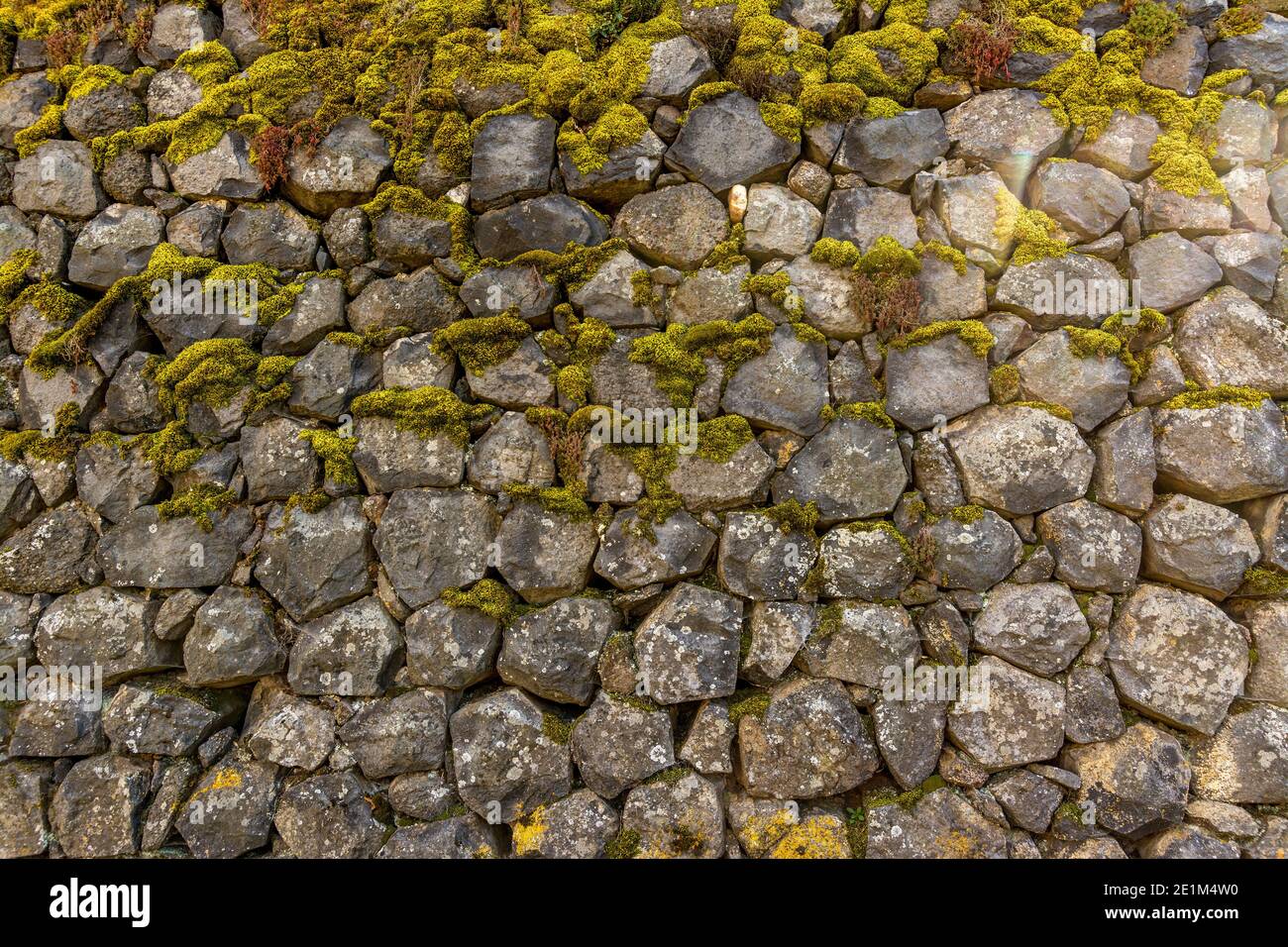 Einzigartige Natursteinmauer, bedeckt mit Moos, in einer ruhigen Umgebung im Freien während der Tageslichtstunden Stockfoto