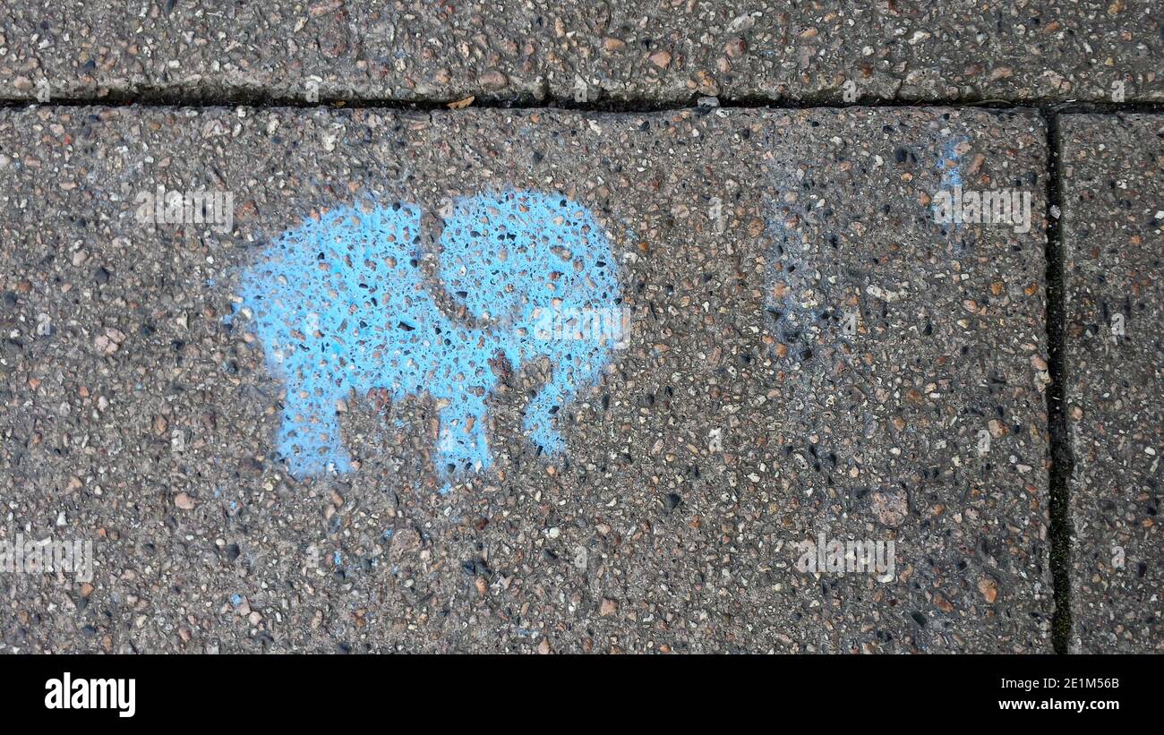 Hellblauer Schablonenelefant, gemalt auf einem Bürgersteig oder Bürgersteig Stockfoto