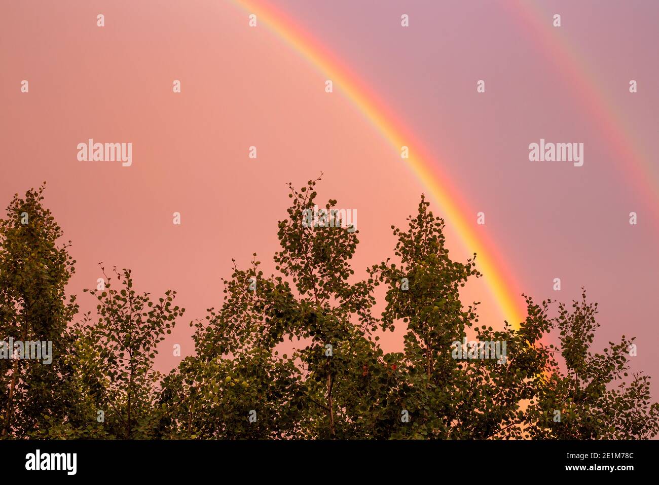 Doppelter heller Regenbogen am Himmel über den Bäumen, Sommertag nach Regen, die Schönheit der Natur Stockfoto