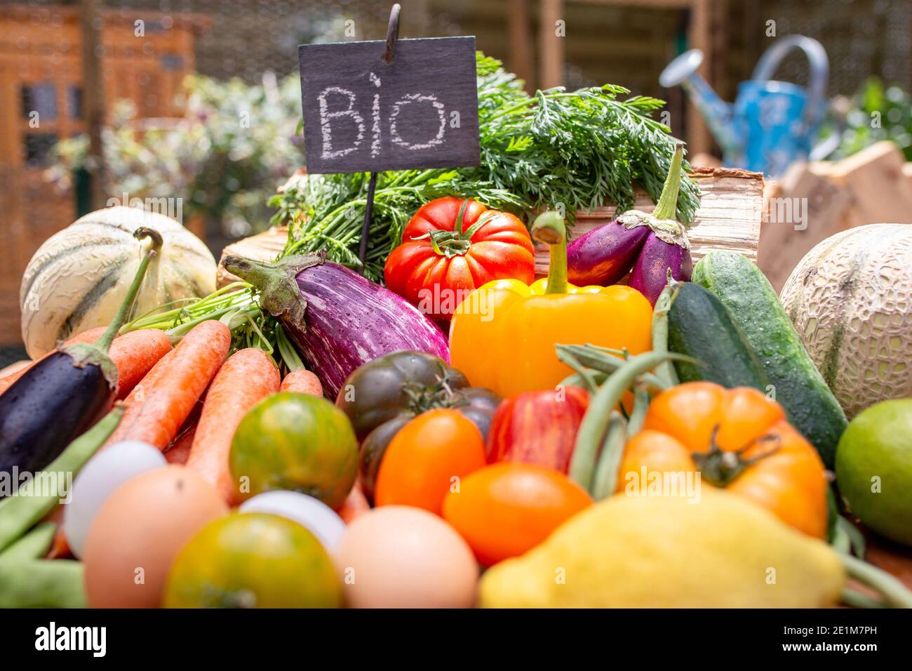 Sortiment an Bio-Gemüse Stockfoto
