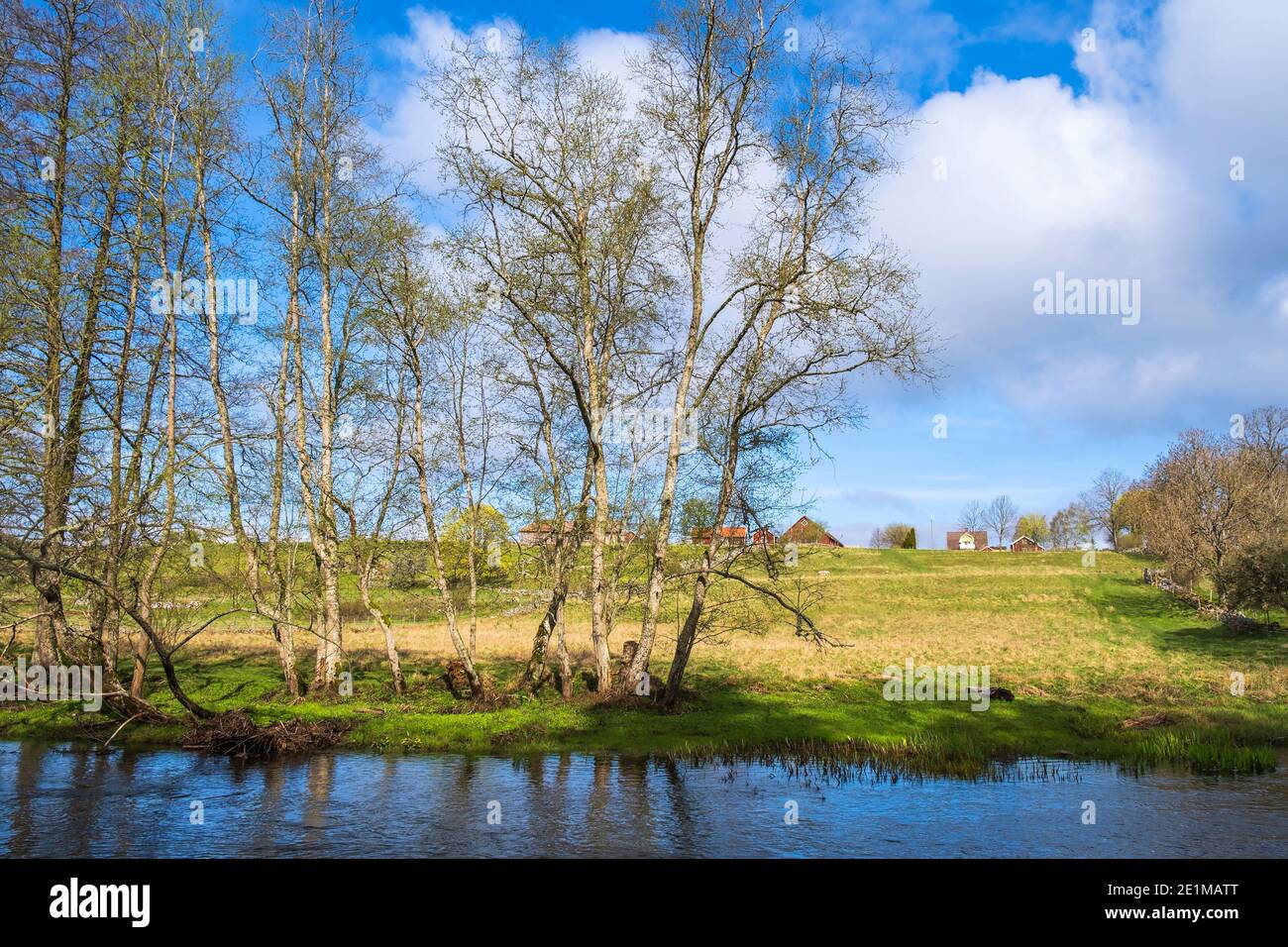 Fluss in einer ländlichen Landschaft im Frühjahr Stockfoto