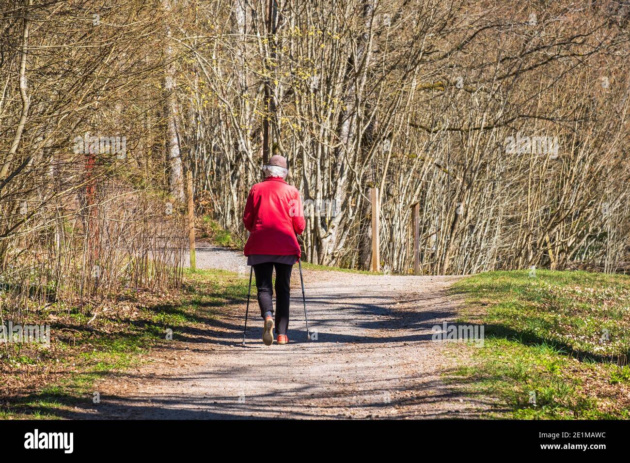 Ältere Frau, die in der Frühlingssonne auf einem Pfad geht Stockfoto