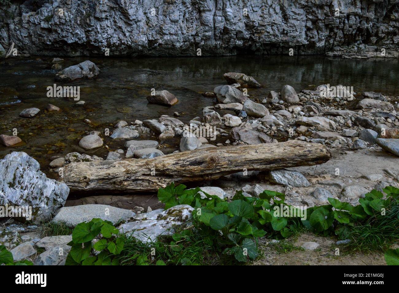 Unberührte Naturlandschaft mit Fluss fließt frei durch die erodierten Felsen und Treibholz in der Sohodol Schluchten, in Gorj County Rumänien Stockfoto