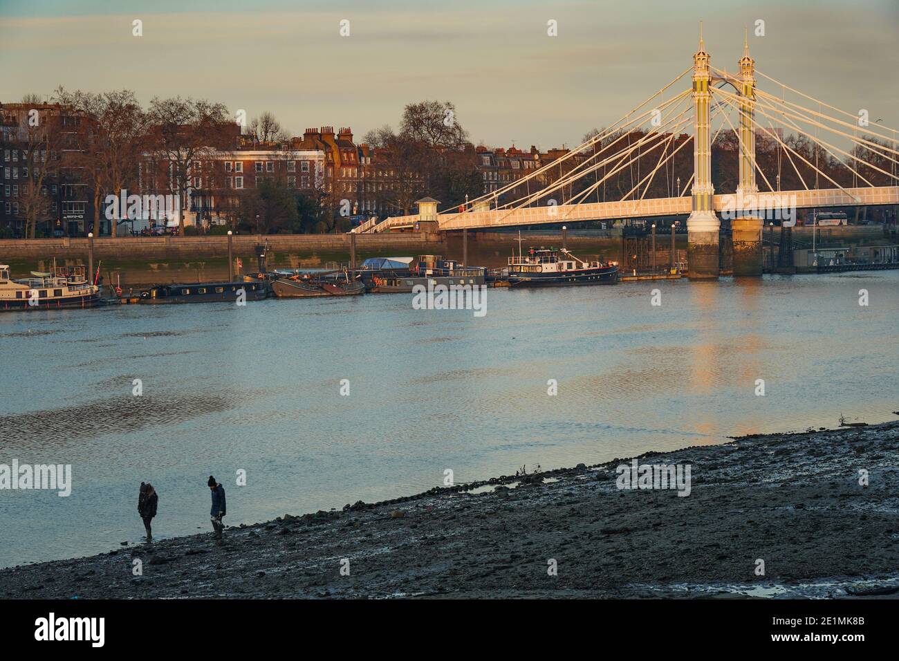 Zwei Schlammlerchen auf der Suche nach einem Schatz am Ufer der Themse in der Nähe der Albert Bridge, London. Fototermin: Donnerstag, 7. Januar 2021. Foto: Roger Garfield/ Stockfoto