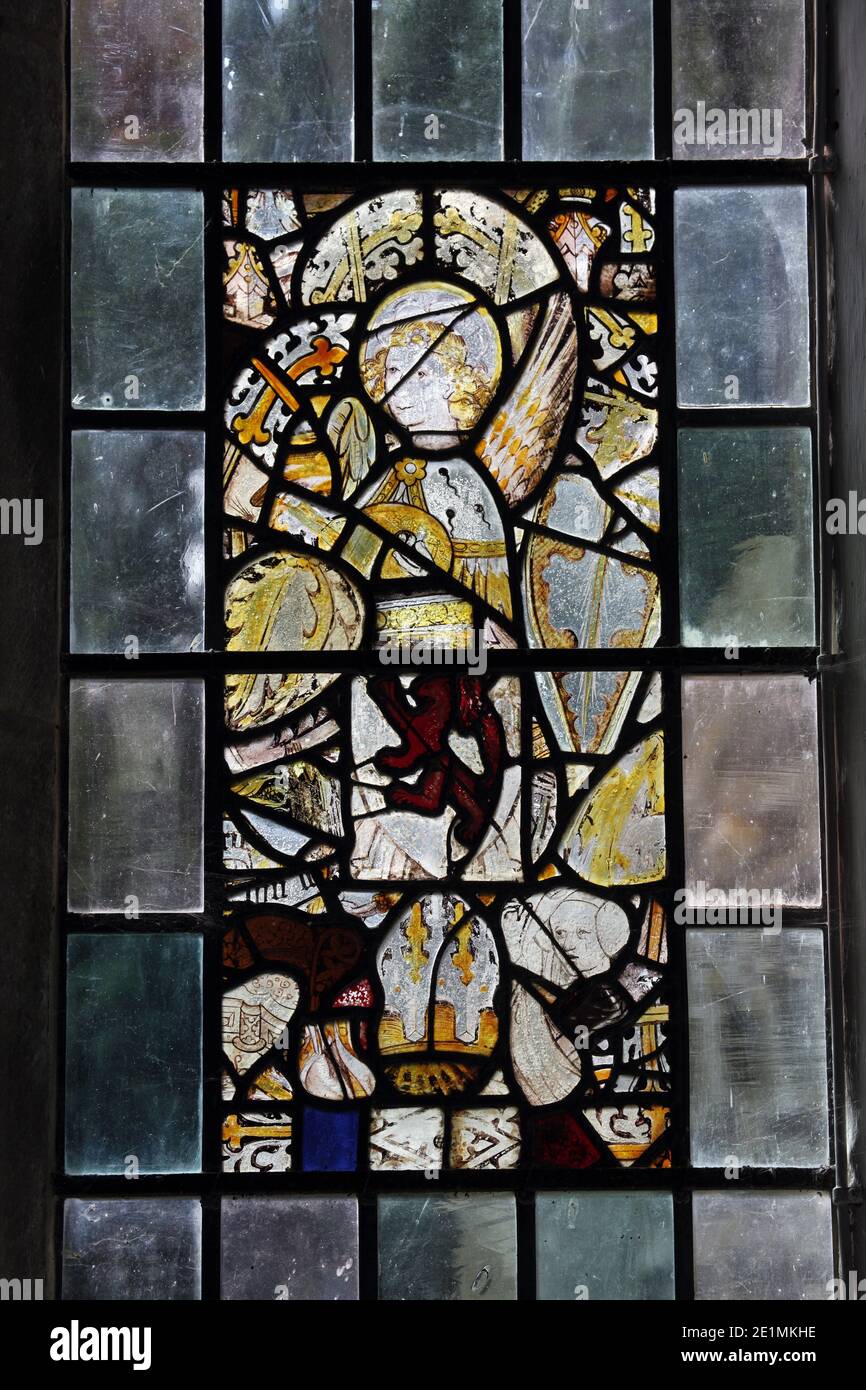 Glasfragmente aus dem 15. Jahrhundert, die in einfachen Steinbrüchen mit dem Wappen von Braunche wieder zusammengebaut wurden. Kirche St. Andrew, Letheringsett, Norfolk Stockfoto