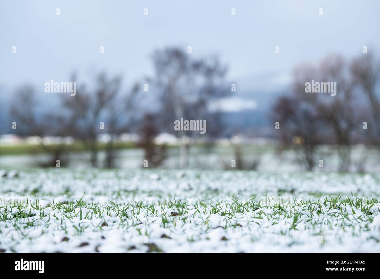 Bad Homburg Vor Der Hohe Stockfotos Und Bilder Kaufen Alamy