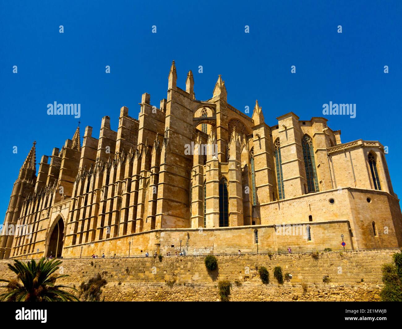 Die Kathedrale von Santa Maria von Palma ein gotischer Römer Katholische Kathedrale erbaut von 1229 bis 1601 in Palma Mallorca Auf den Balearen von Spanien Stockfoto