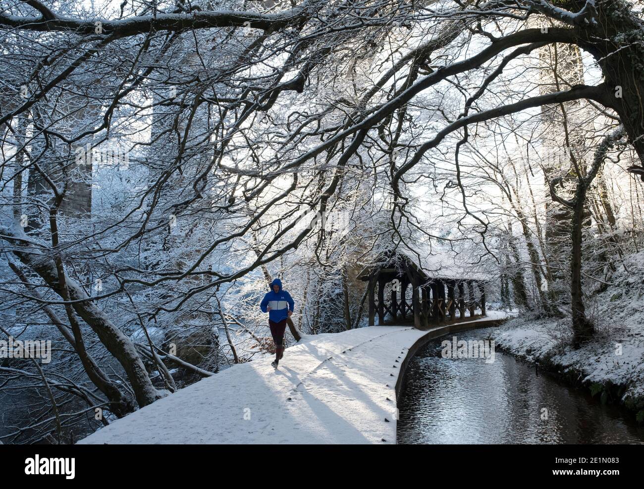 Wetter, 8. Januar 2021. Ein Läufer fährt unter dem Camps Viaduct im Almondell Country Park, West Lothian, Schottland, UK. . Quelle: Ian Rutherford/Alamy Live News. Stockfoto