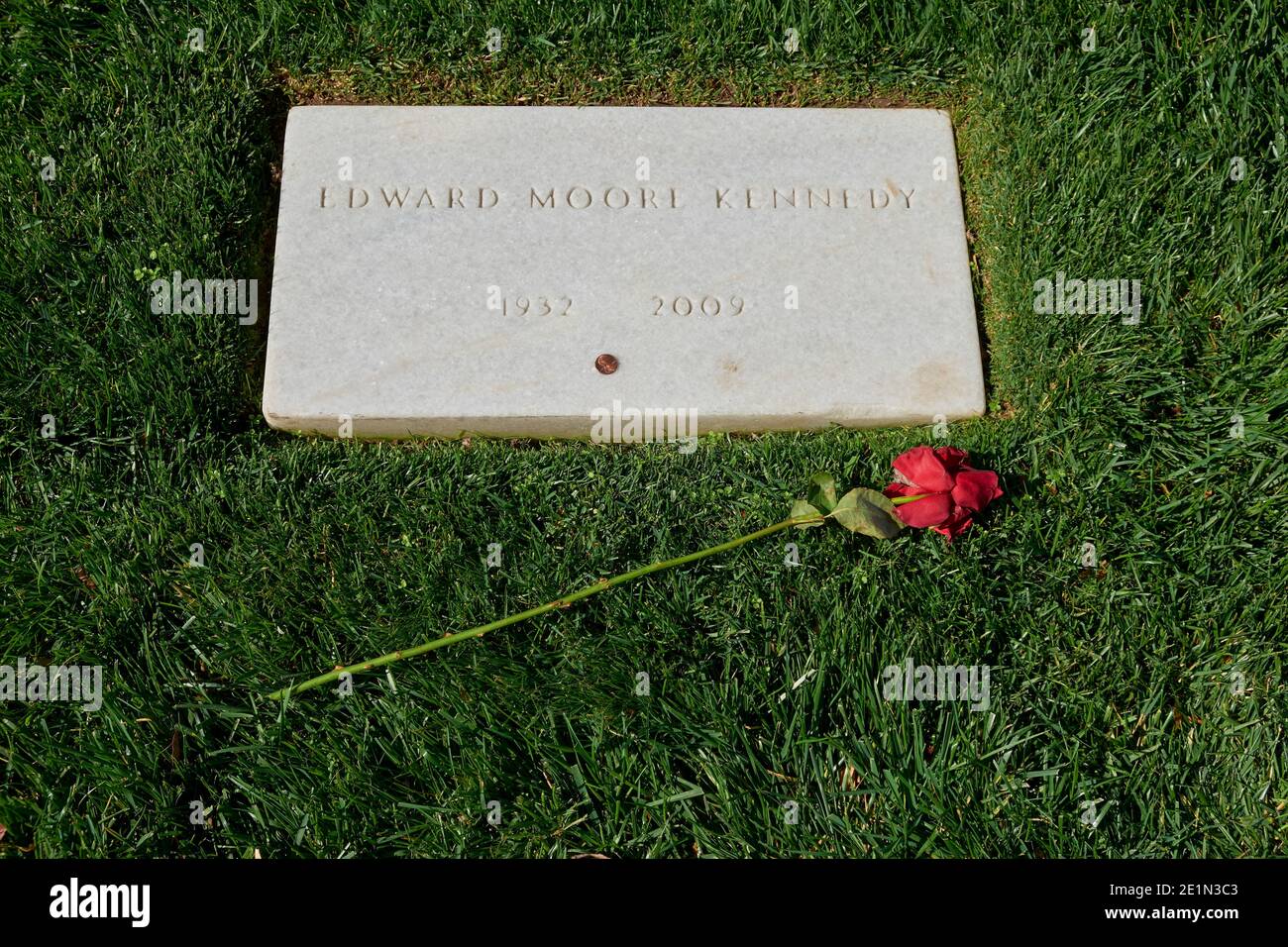 Der Grabstein für Senator Edward Kennedy mit einer roten Rose und einem Penny, Cent. Auf dem Arlington National Cemetery in der Nähe von Washington DC. Stockfoto