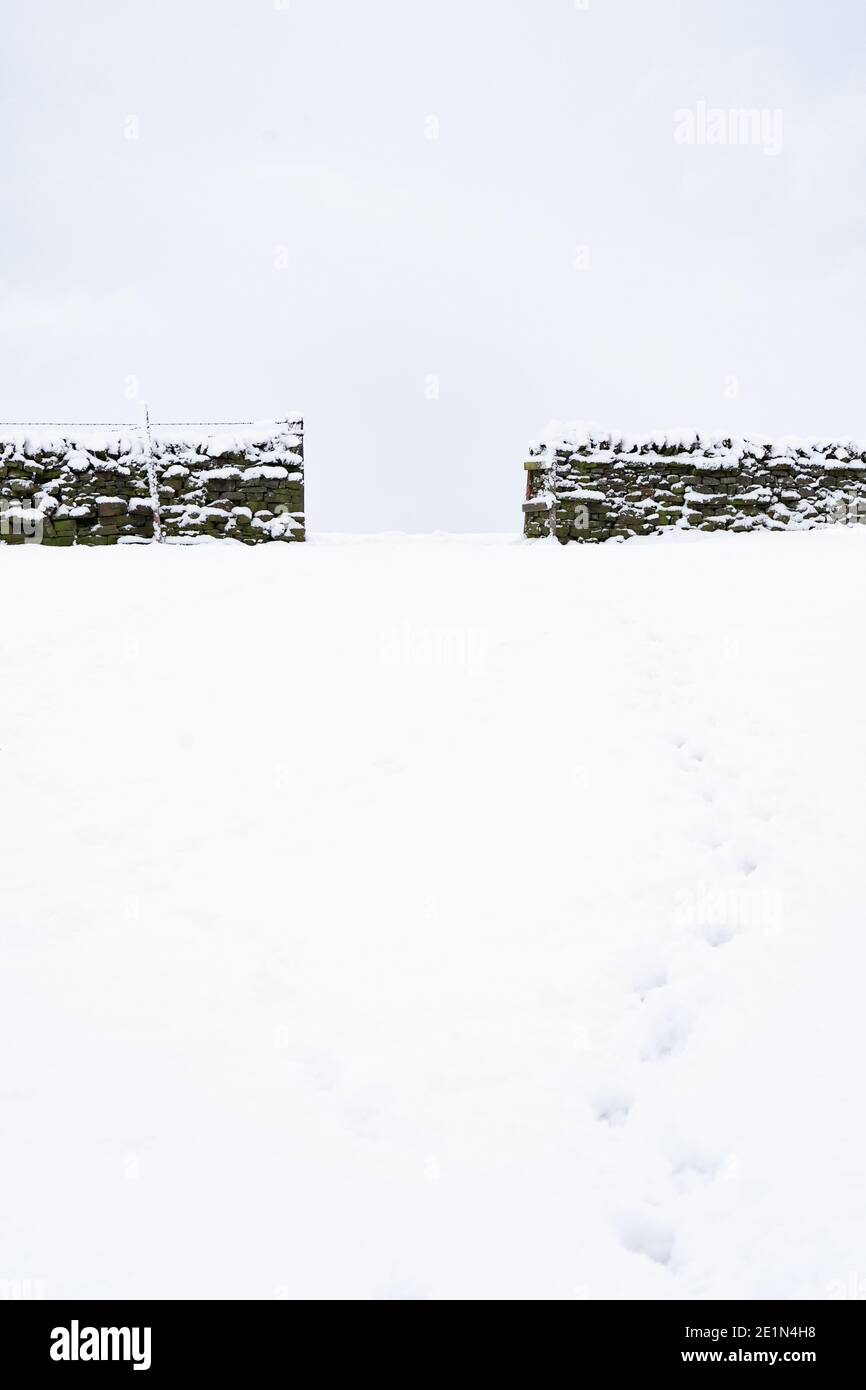 Trockensteinmauer mit Schnee bedeckt, North Pennines UK Stockfoto