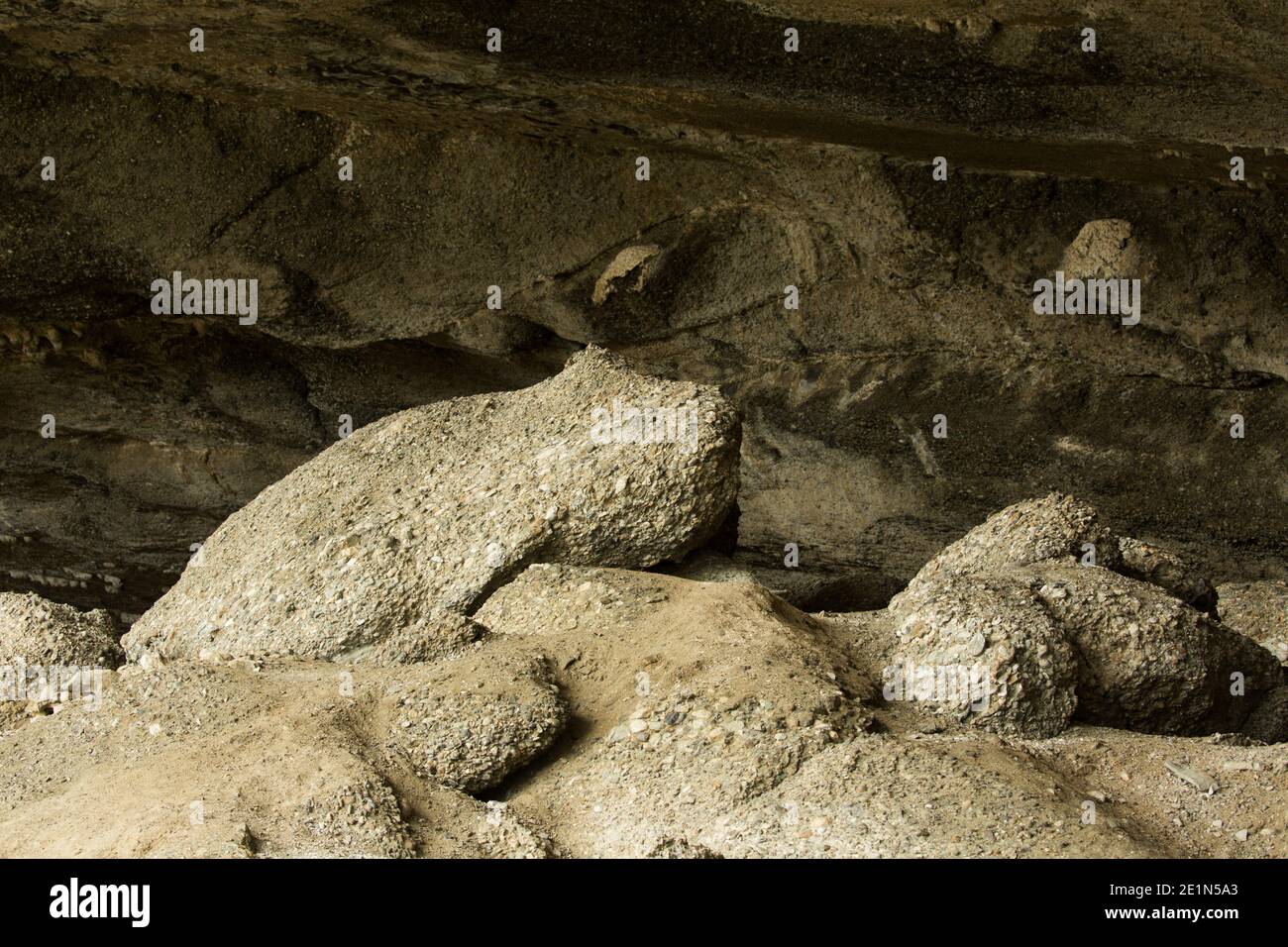 Ein Klumpen aus Verbundgestein sieht aus wie eine Schildkröte, Milodon Cave, in der Nähe von Puerto Natales Patagonia, Chile Stockfoto