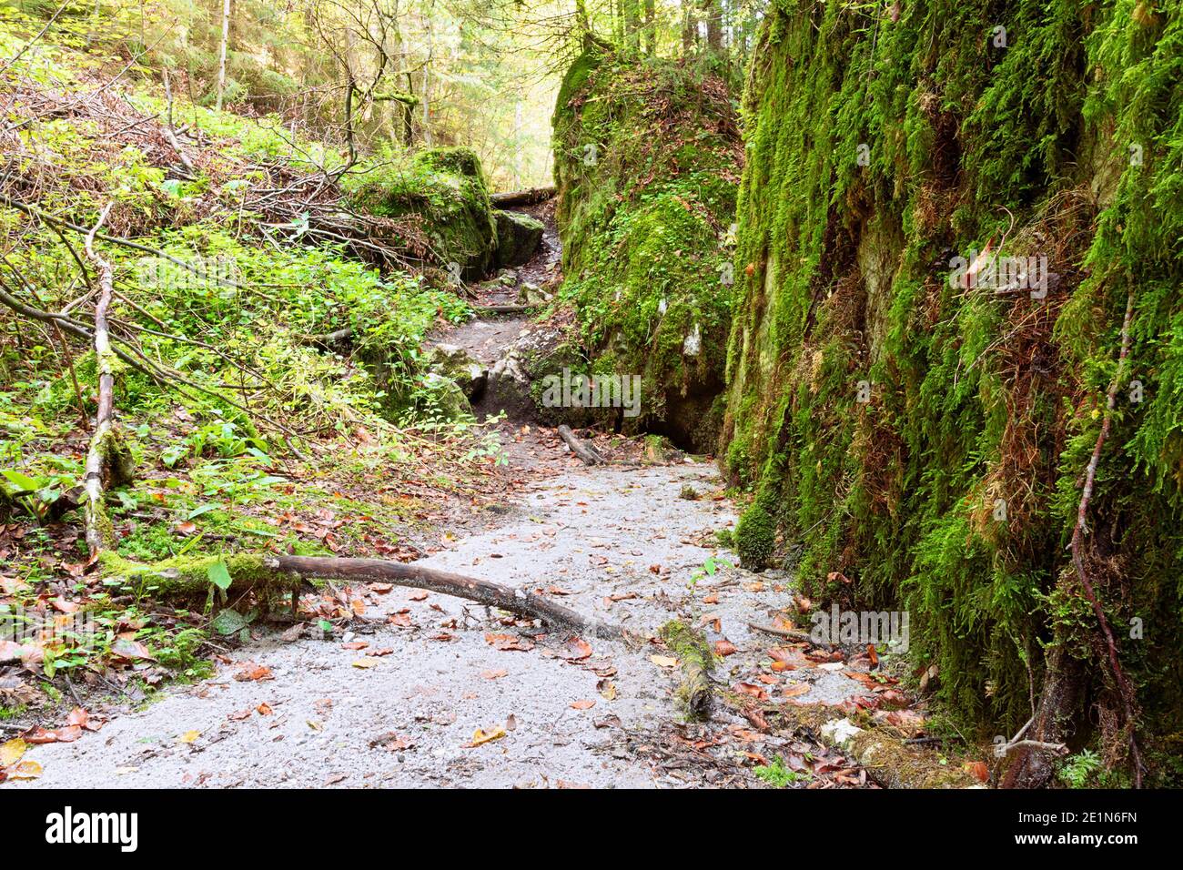 Fußweg umgeben von moosigen Steinen im Naturpark Apuseni Stockfoto