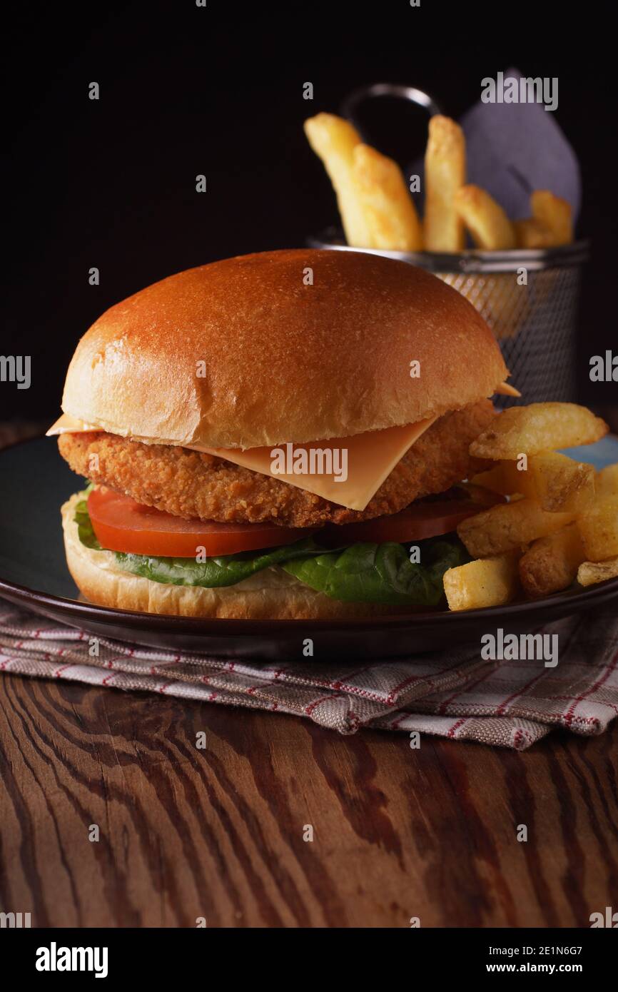 Hähnchenfilet in einem Brioche-Brötchen mit Salat Tomaten und Käse und Haut auf Pommes frites mit kreativen Schuss Beleuchtung Stockfoto