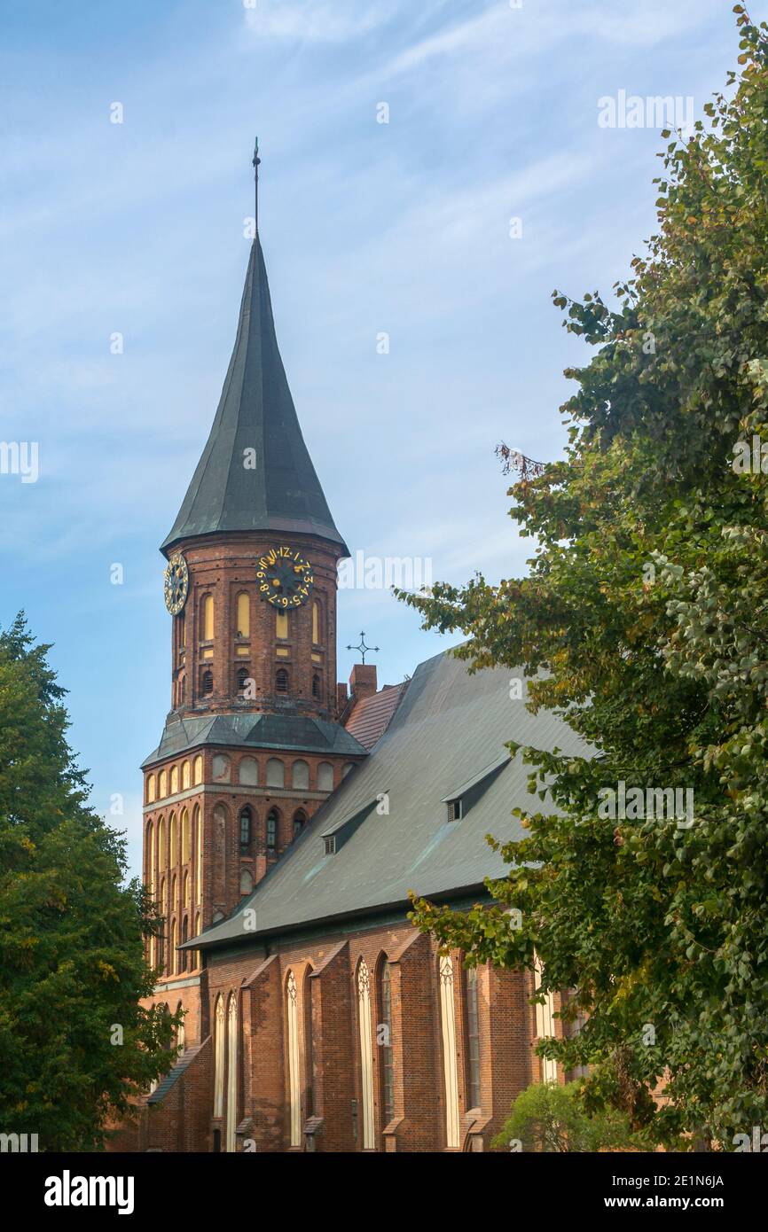 Kaliningrad, Russland - September 2020: Kathedrale auf der Insel Kant, ein alter gotischer Tempel. Selektiver Fokus, verschwommener Hintergrund, Nebelansicht. Stockfoto
