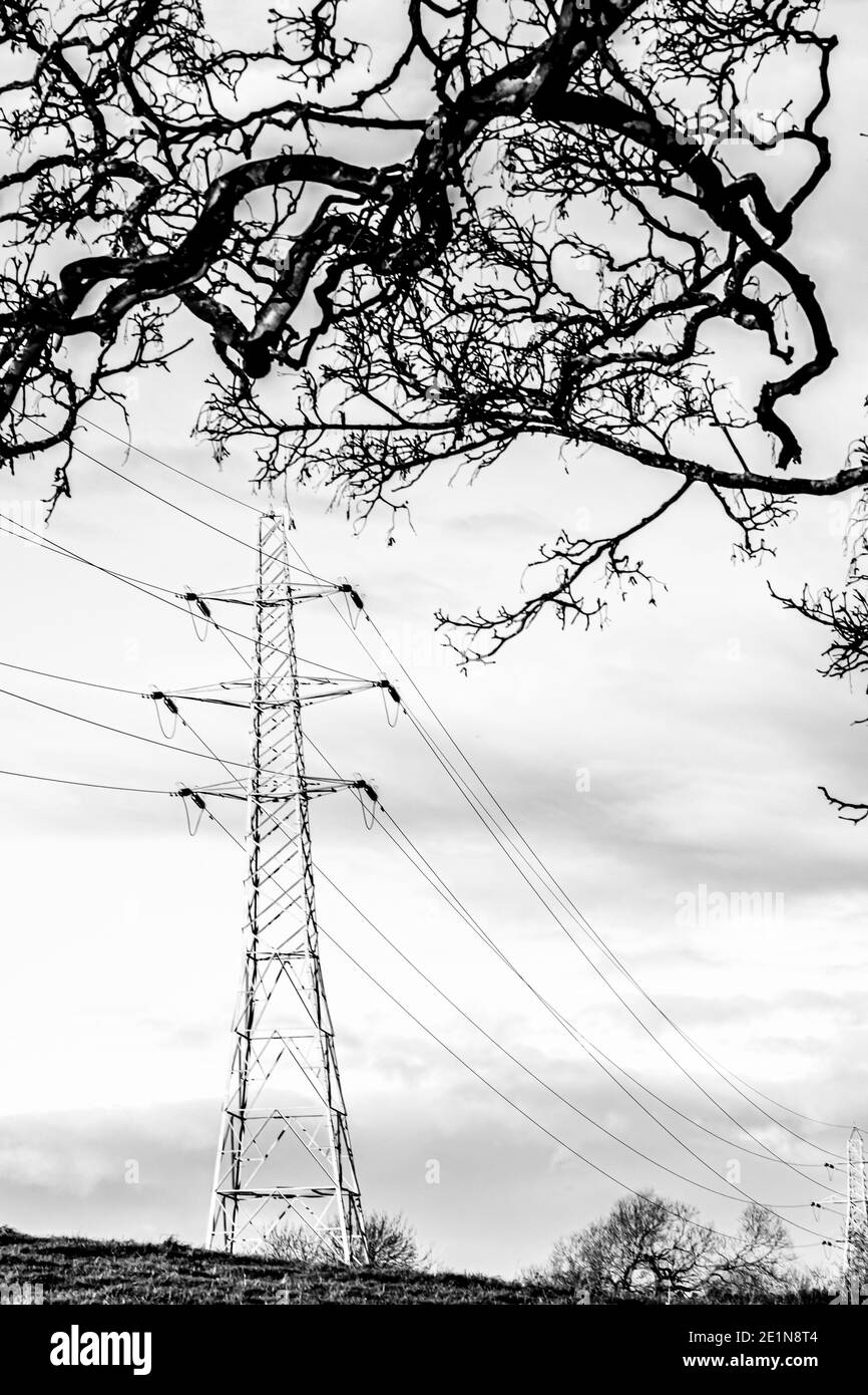 Strommasten und Freileitungen der Übertragung und Verteilung Netzwerk Stockfoto
