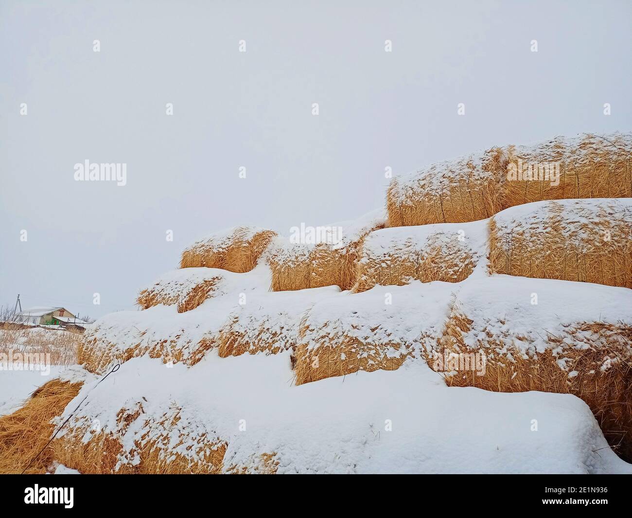 Der Strohstapel war mit Schnee bedeckt. Stockfoto