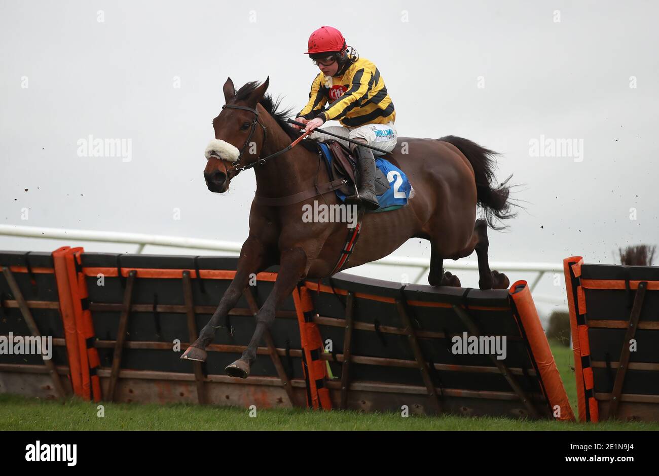 Whitehotchilifili und Jockey Sean Bowen in Aktion in der Molson Coors EBF Mares "National Hunt" Novizen Hürde auf Wincanton Racecourse. Stockfoto